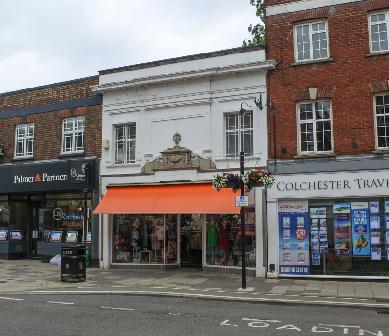 Fallen tree behind 41. Crouch Street
